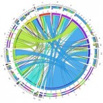 Slides Infosession Data Visualization, oct. 2015