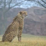 Comment préparer la migration vers la cryptographie post-quantique ?